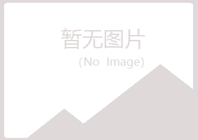 红岗区谷雪咨询有限公司